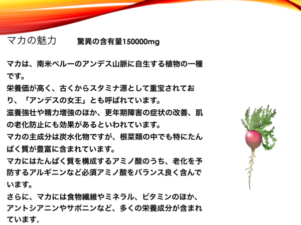 マカブースト～MACA BOOST～ 完全国内生産 90粒 - 画像 (4)